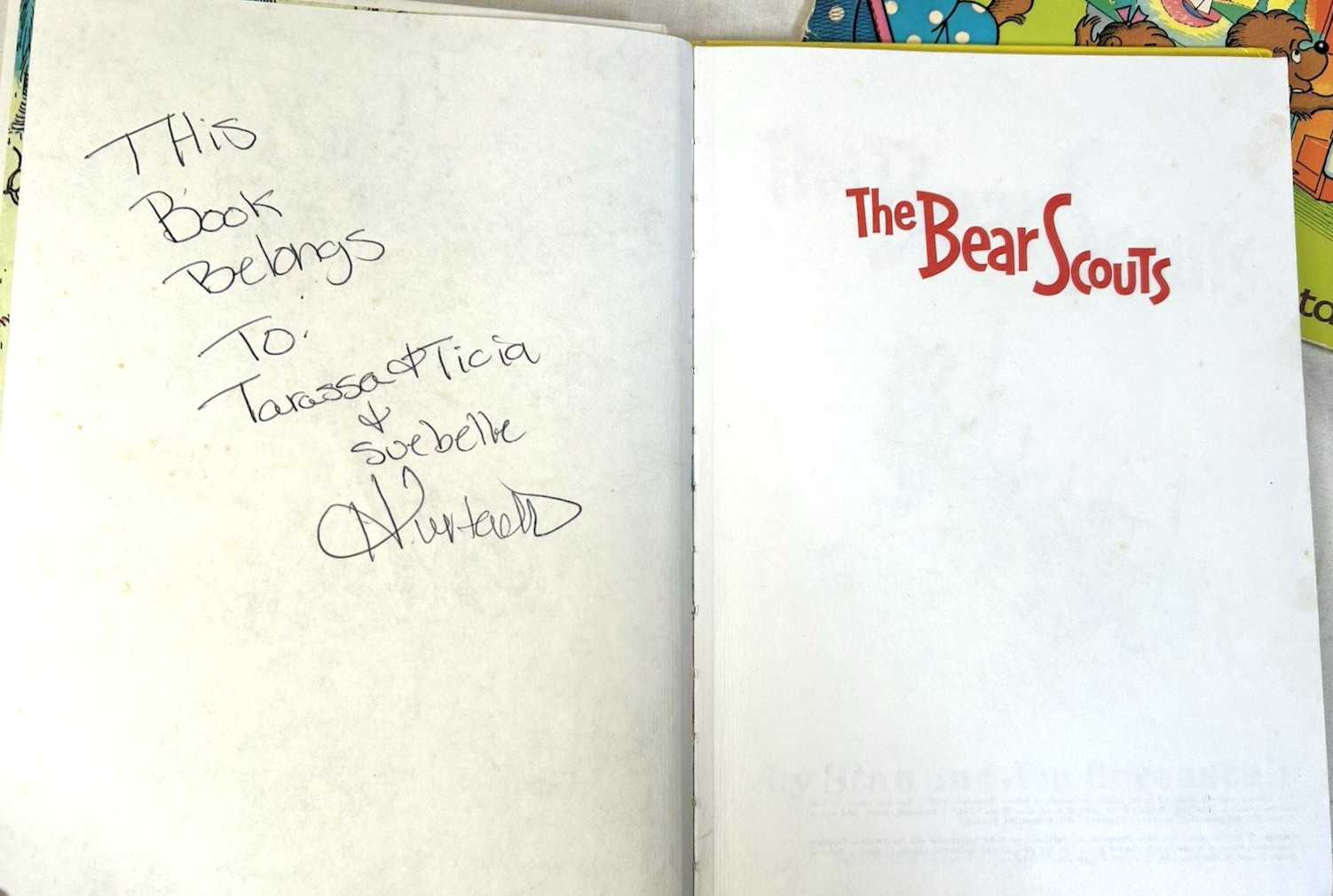 11 Berenstain Bears Books. 2 are Double Books. Jan & Mike Berenstain