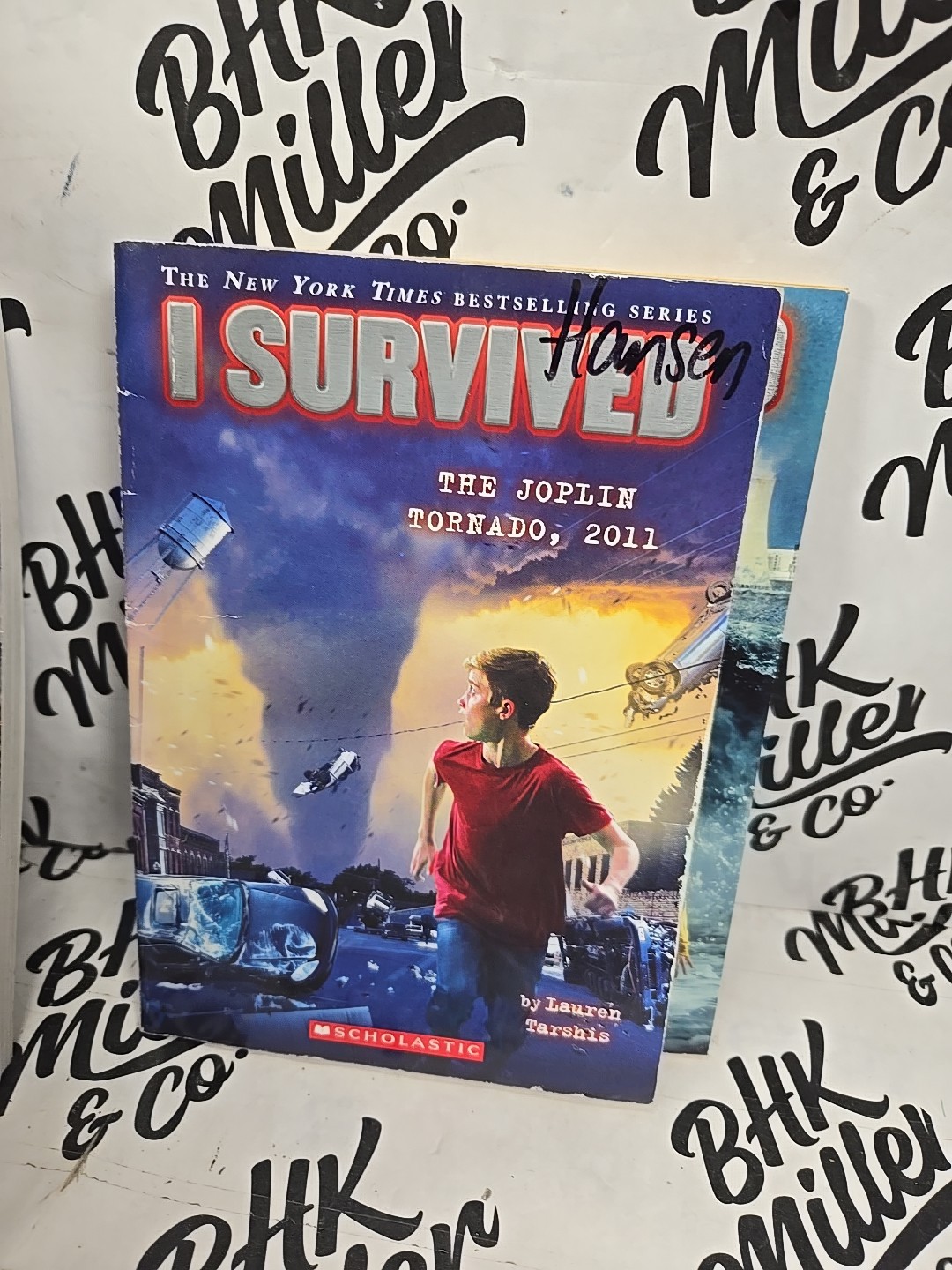 I SURVIVED Series Chapter Books by Lauren Tarshis Lot of 10