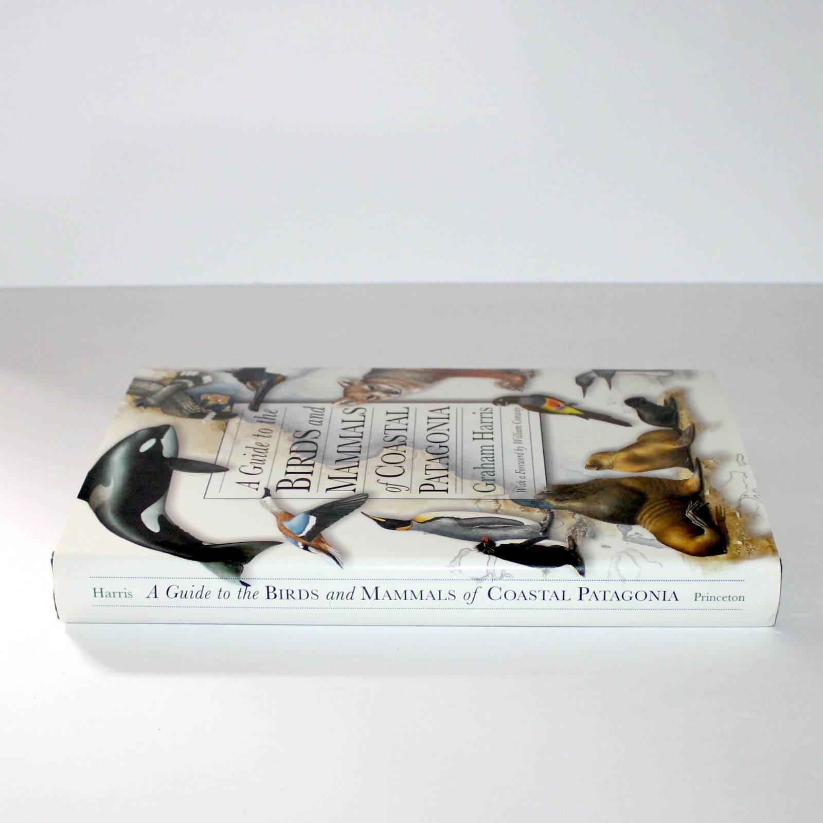 A Guide to the Birds and Mammals of Coastal Patagonia 1998 Graham Harris