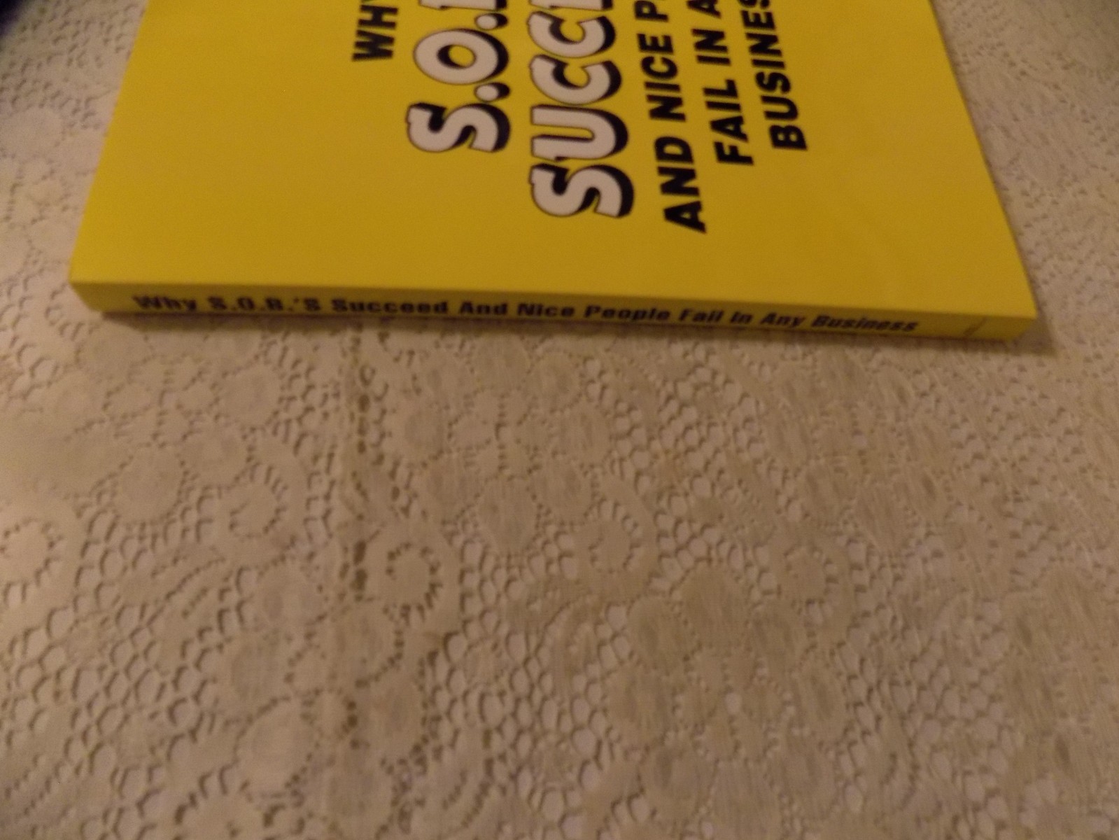 Why SOBs Succeed & Nice Guys Fail in Small Business Startup Manual Bob Morrison