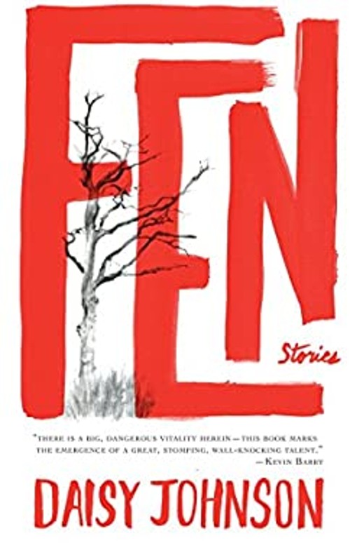 Fen : Stories Paperback Daisy Johnson