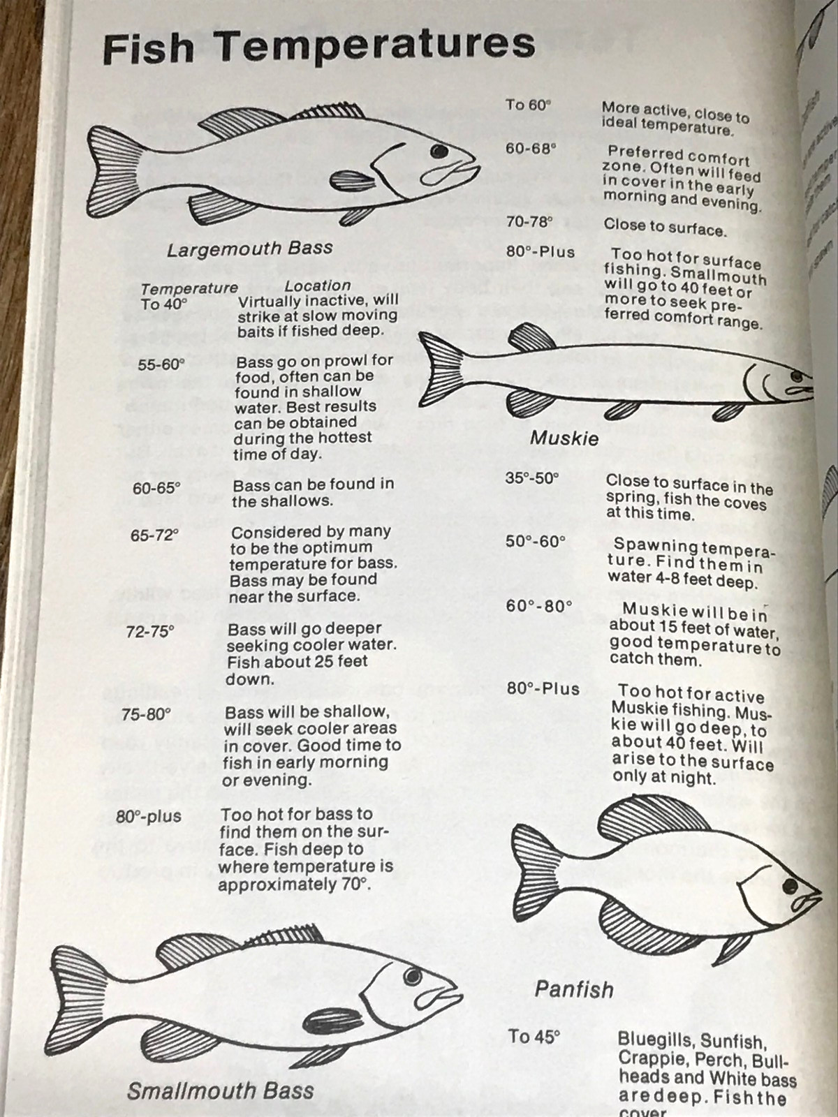 Virgil Ward: Championship Fishing Guide Vintage 1972 Casting Lures Bass Trout