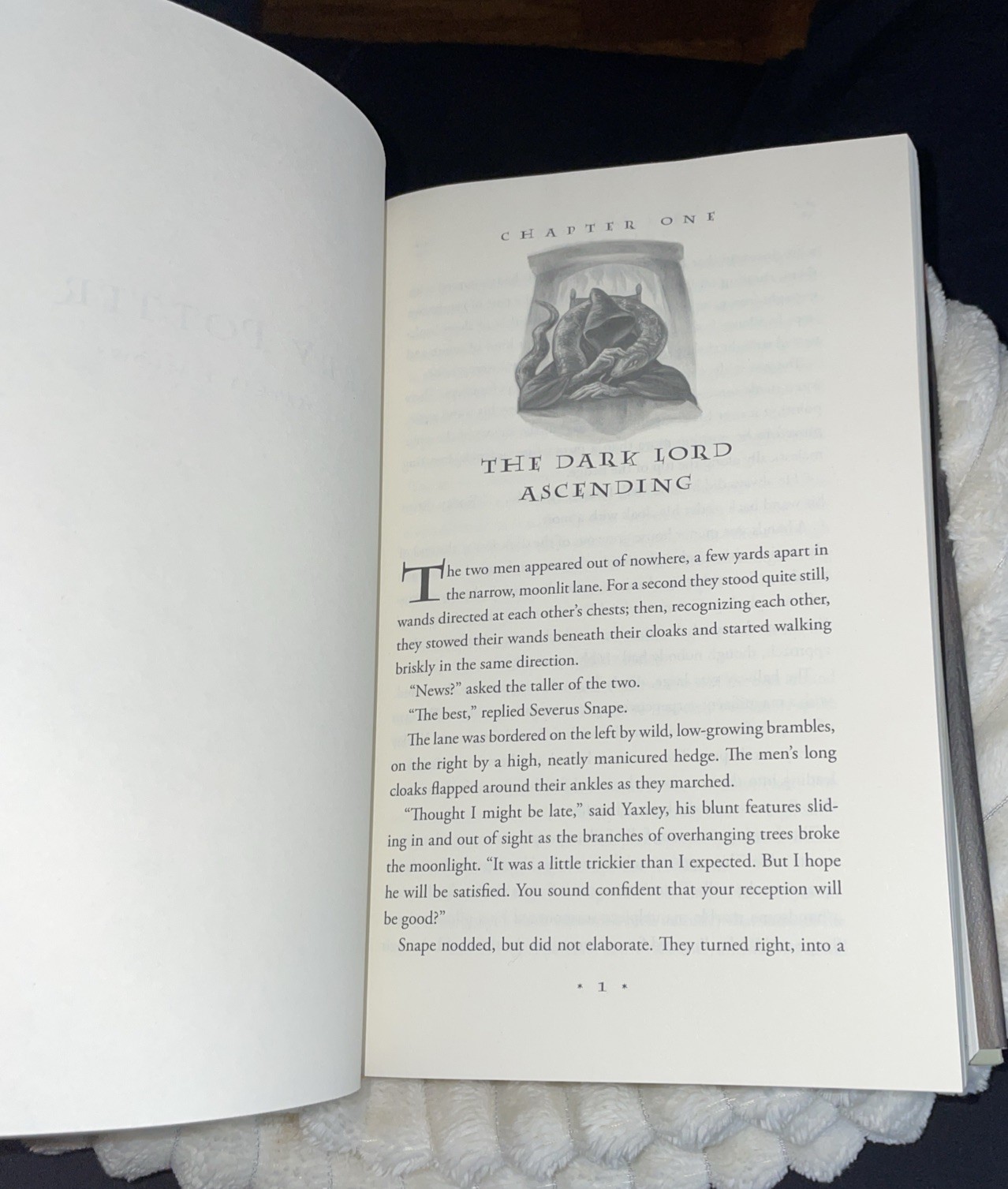 Harry Potter and the Deathly Hallows J.K. Rowling 1st/1st 2007 RARE Page Errors
