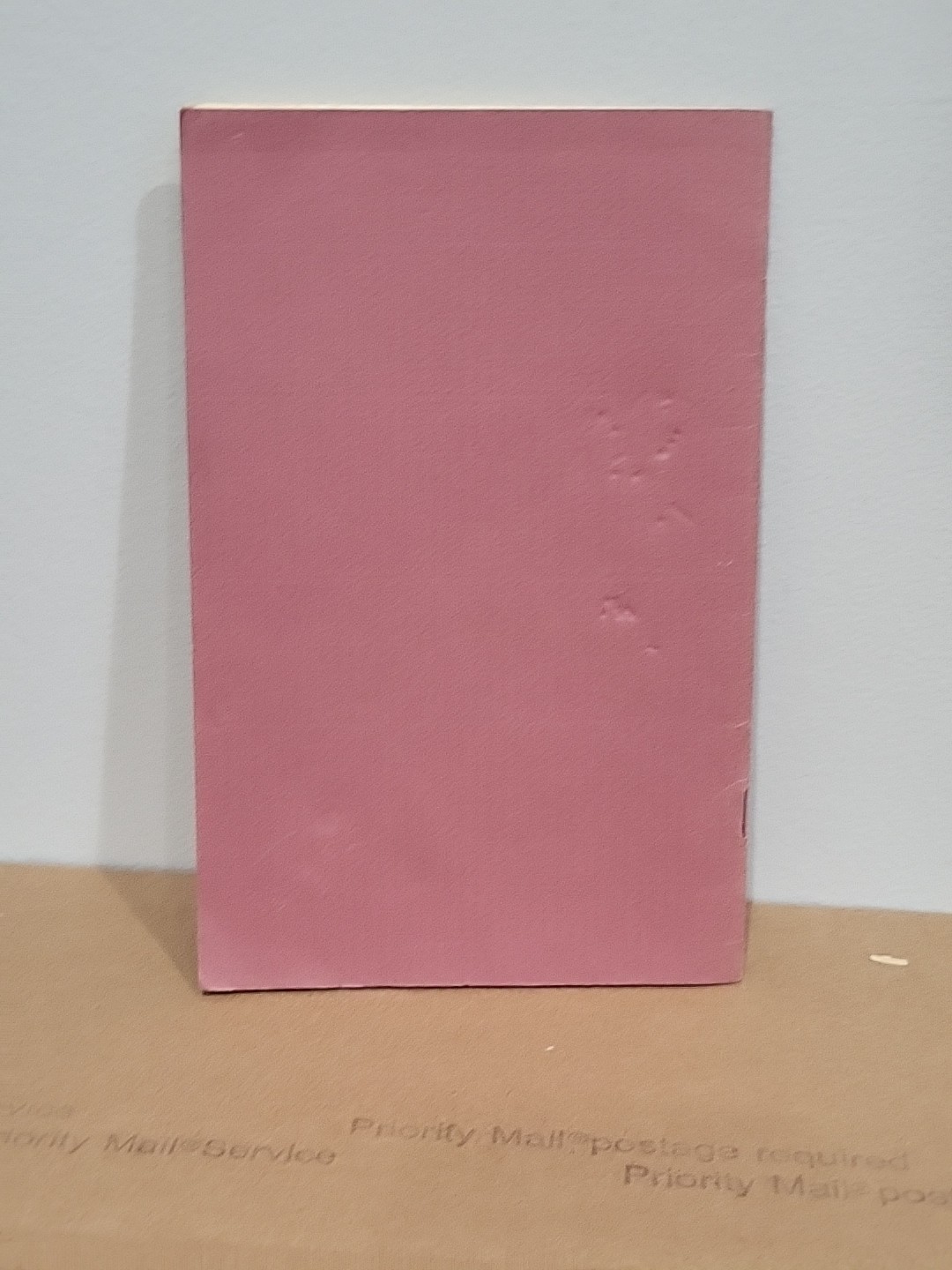 The Devil In The River and Other Poems by John Grey 1990 Night Visions Borkowski