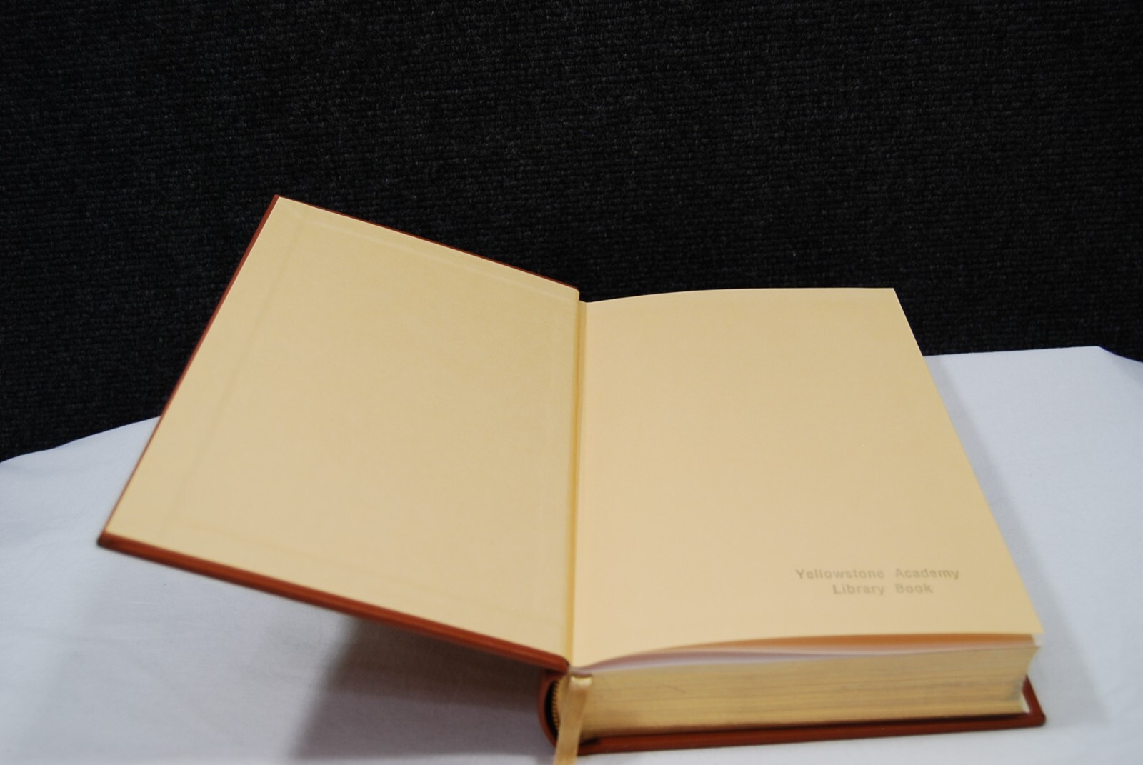 Great Expectations by Charles Dickens Leather Gold Gild Dalmatian Press 2004