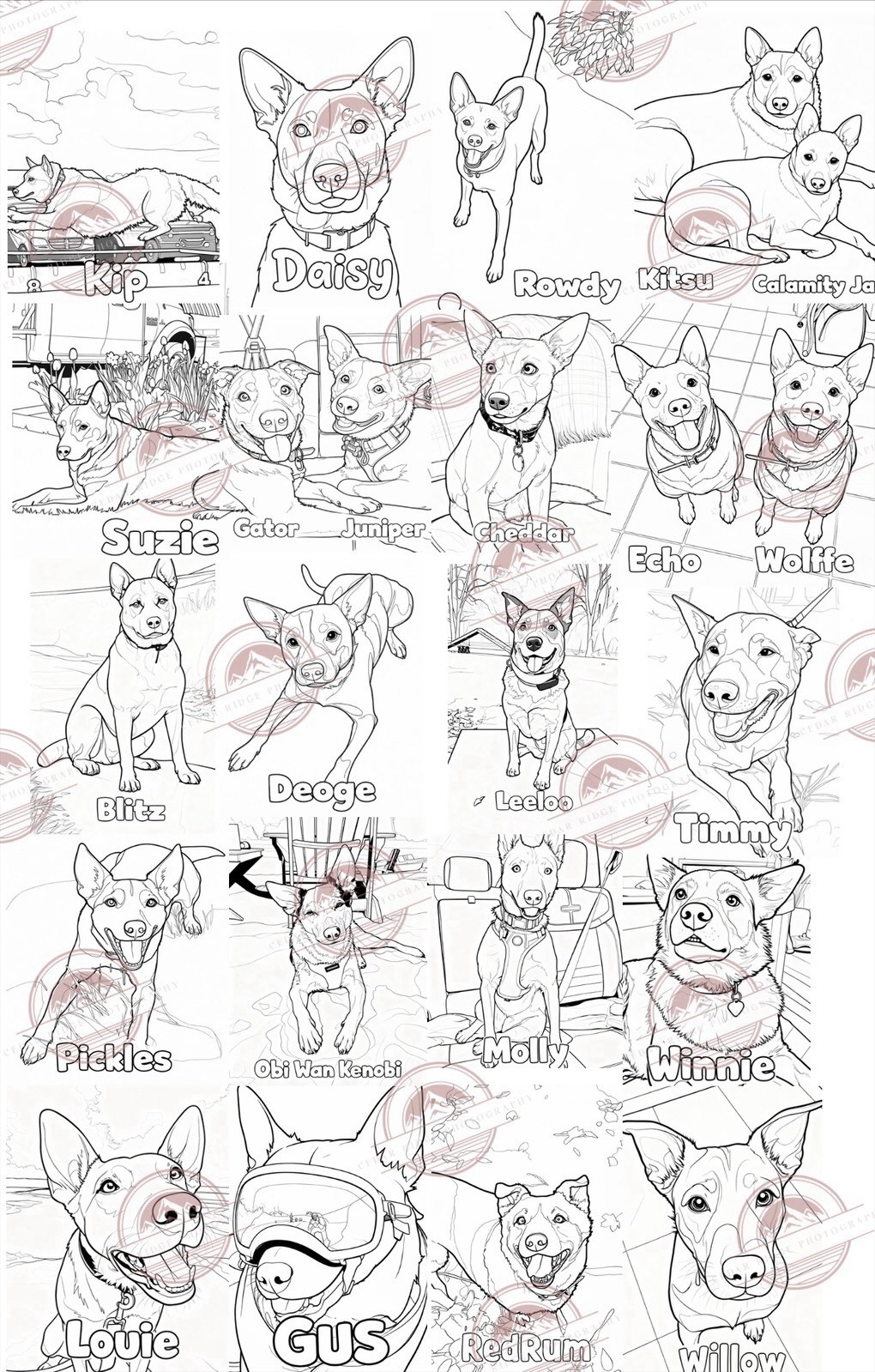Heeler Coloring Book 20 Pages Dogs Coloring Large Type Ages 4-8 Paperback