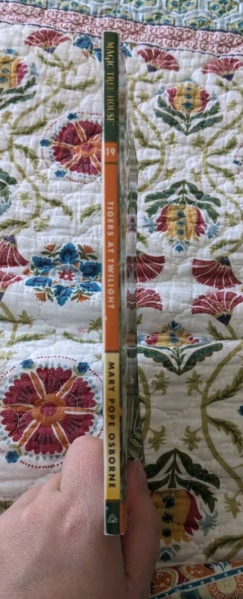 Tigers at Twilight (Magic Tree House, No. 19) – Paperback – GOOD