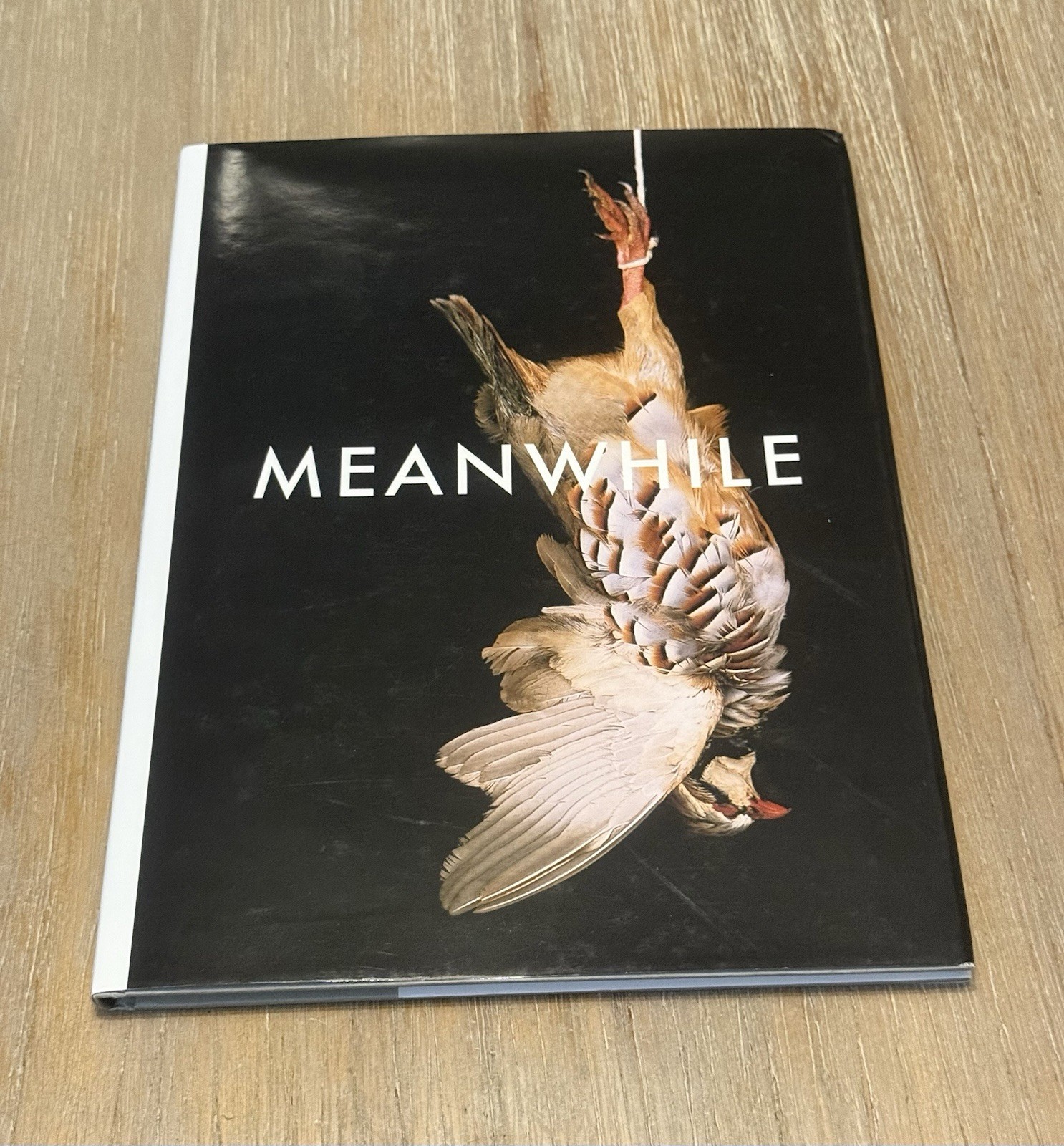Shirana Shahbazi: Meanwhile by Shirana Shahbazi 2008 Hardcover / DJ