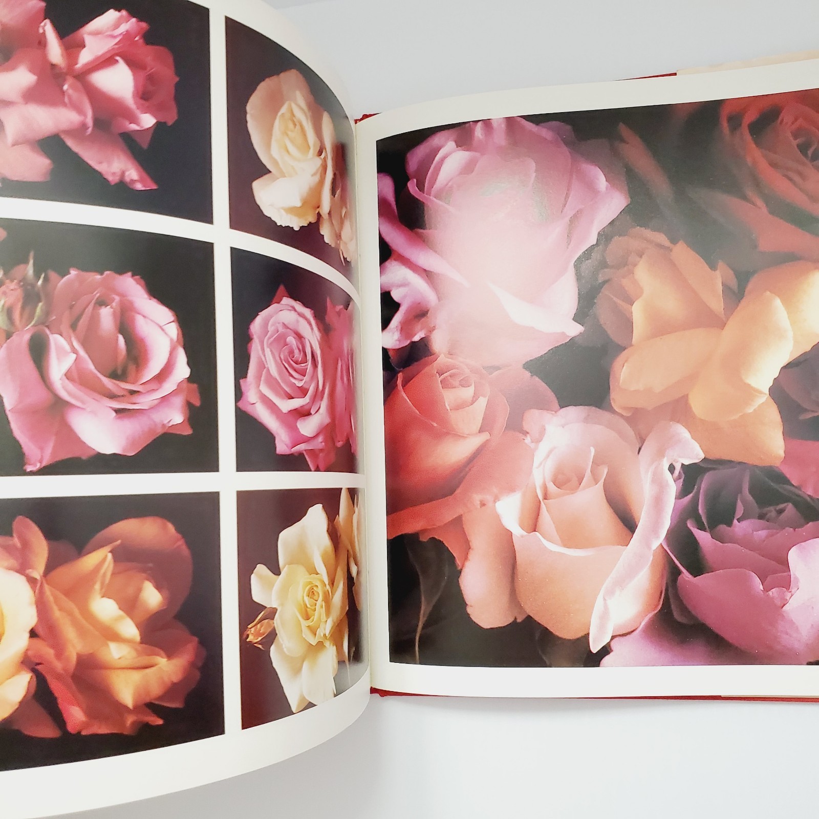The Romantic Rose Hardcover Book Gift Flowers Gardening Plants