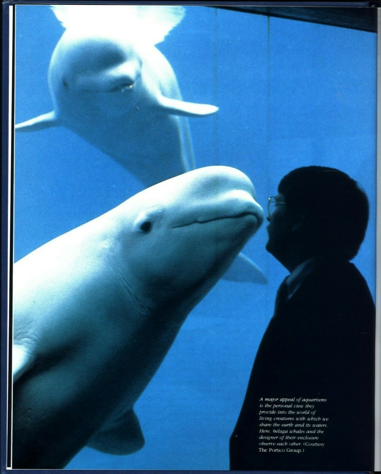 AQUARIUMS: Windows to Nature. Brand new.