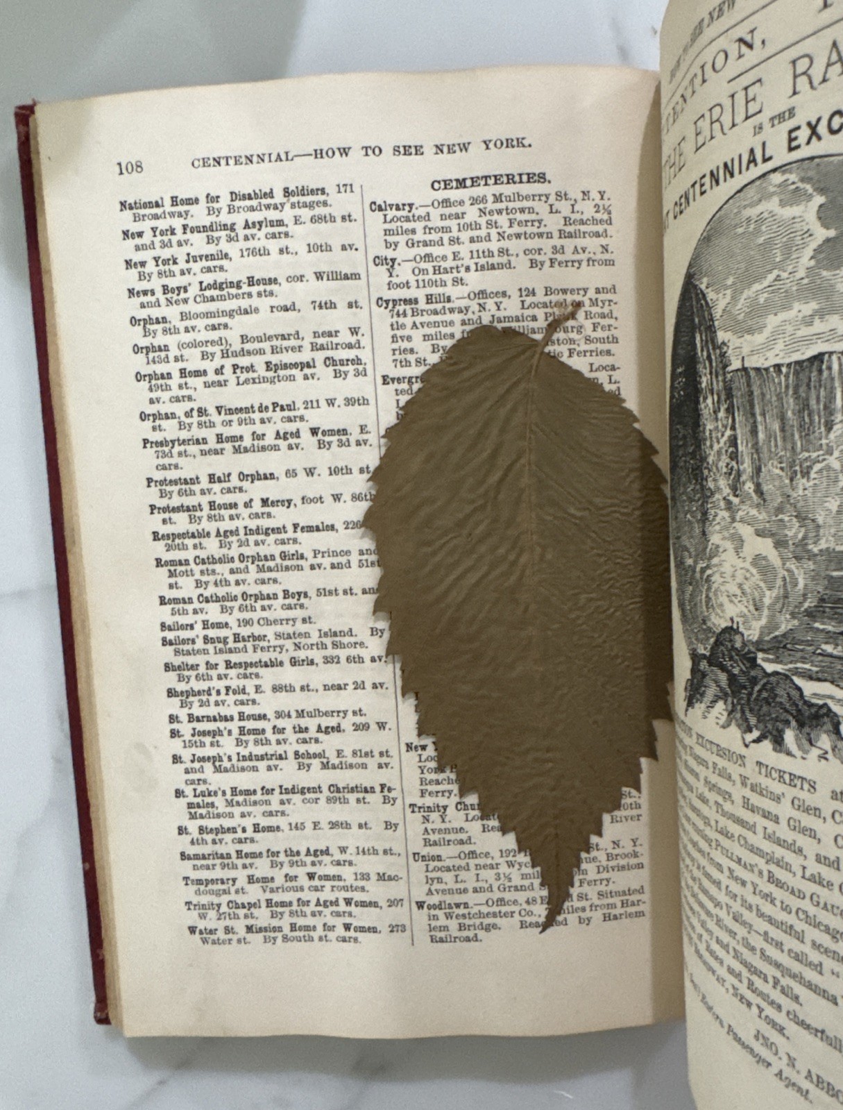 History of and How to See New York and Its Environs by Robert Macoy (HC, 1876)