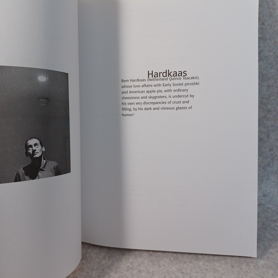 More is More : OMA/Rem Koolhaas Theorie und Architektur Heike Sinning