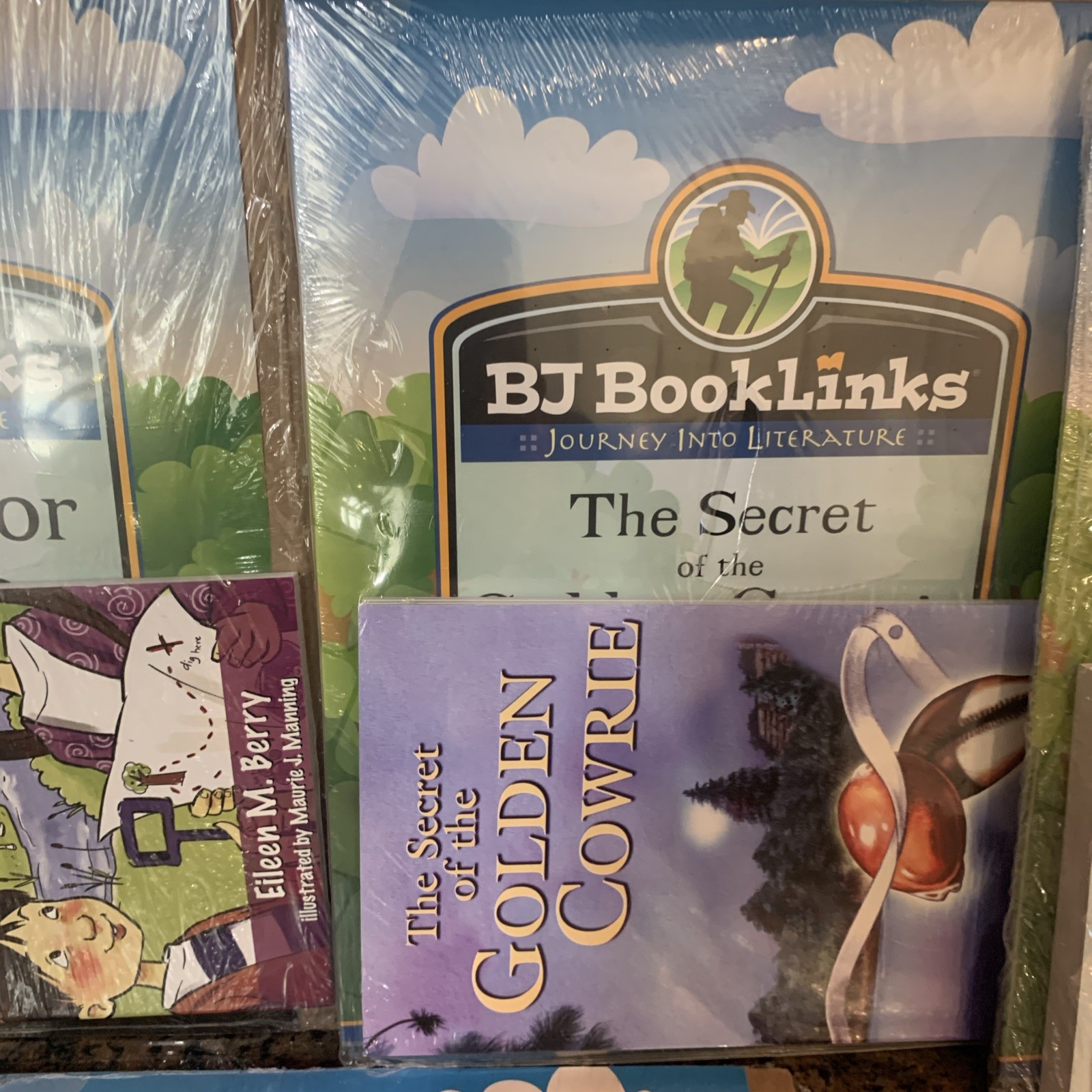 BJU BookLinks Looking For Home Golden Cowrie Derwood Inc Dog napped Cat 6 Total