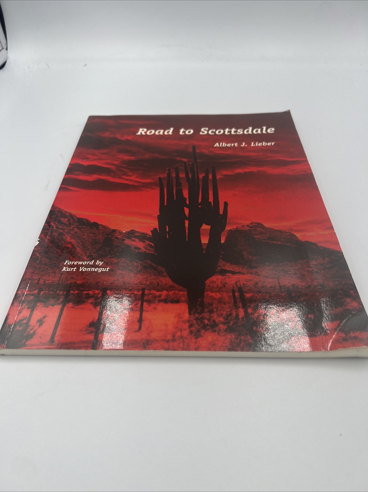 Road to Scottsdale by Albert J. Lieber (1999, Trade Paperback)