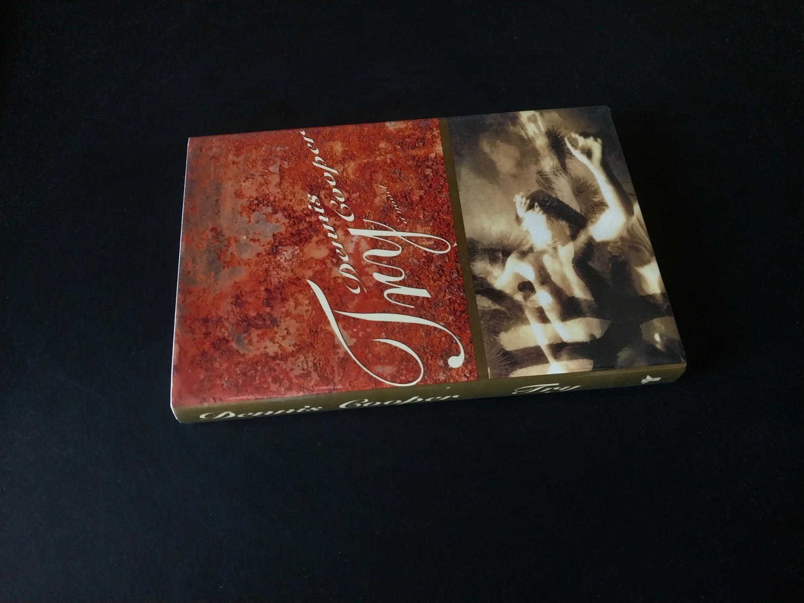 Dennis Cooper – Try – Grove Press First Edition First Printing 1994