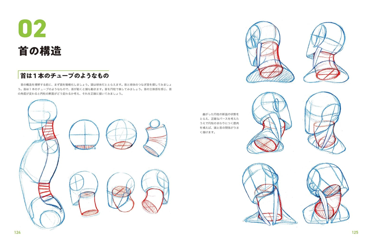 Master Guide to Drawing the Human Body: Character Drawing from the Basics Book