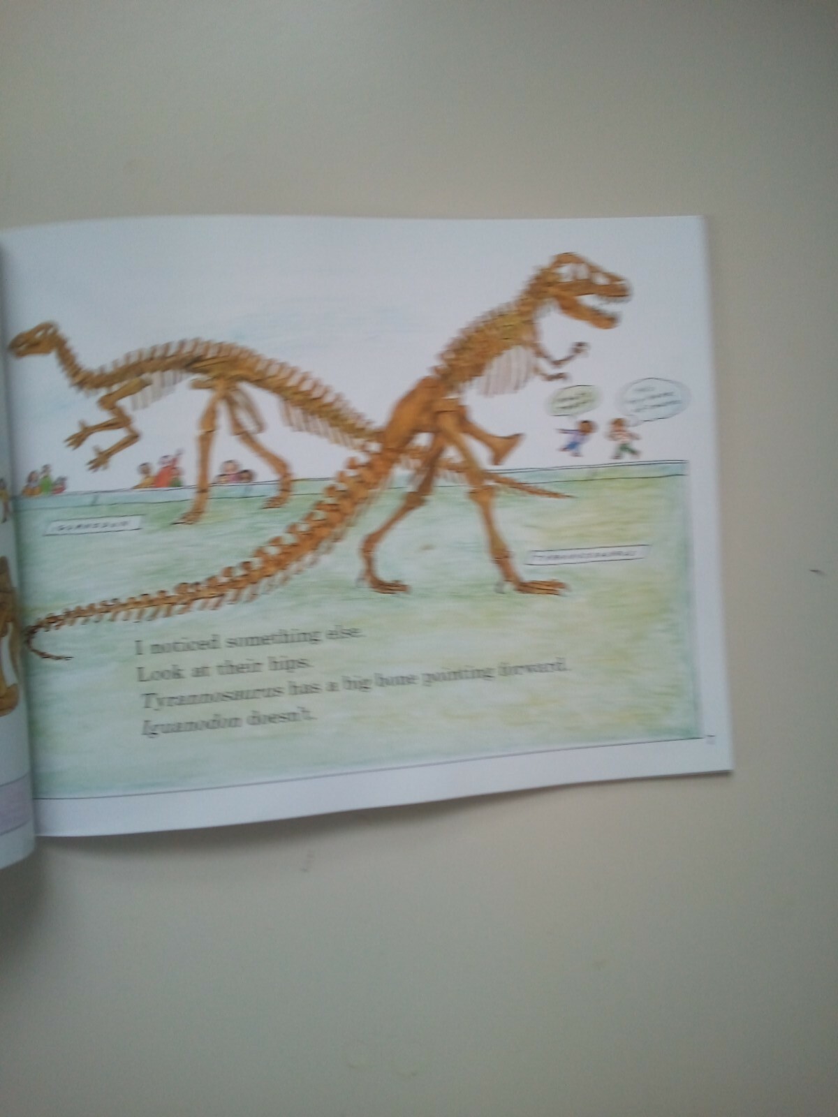 Dinosaurs Are Different By Aliki Paperback 1985 Stage 2