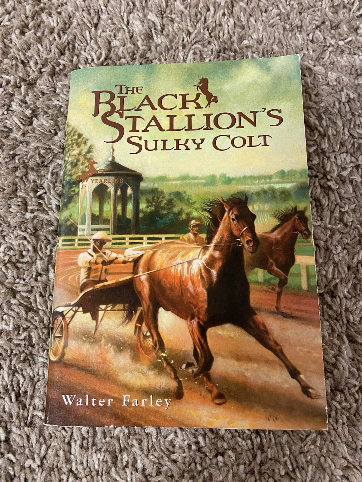 Lot of 12 The Black Stallion Series By Walter Farley Paperback