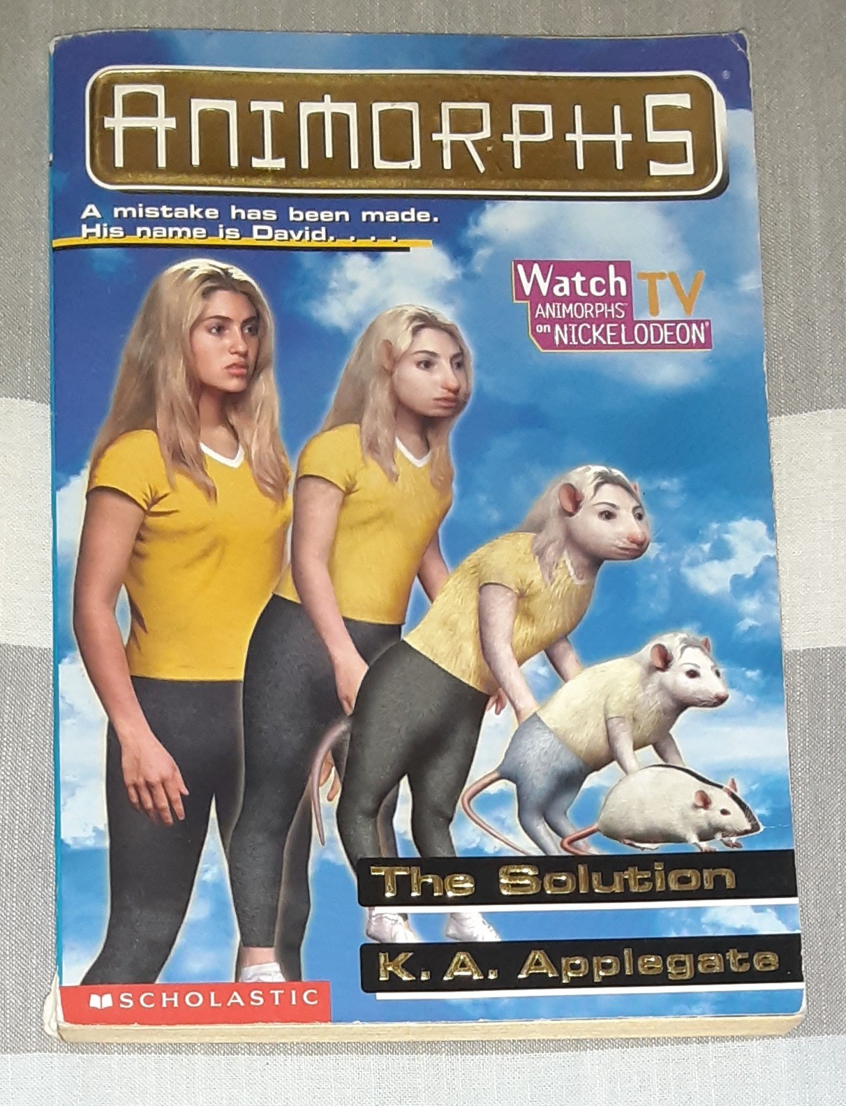 Animorphs Book Lot of 21 (K.A. Applegate, Paperback)