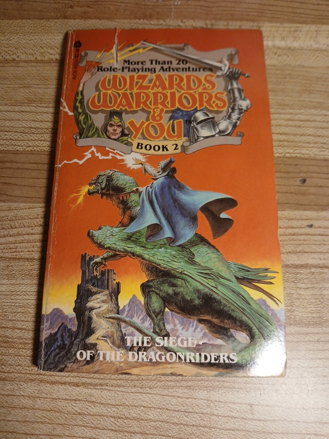 Wizards Warriors & You Book 2 The Siege Of The Dragonriders CYOA