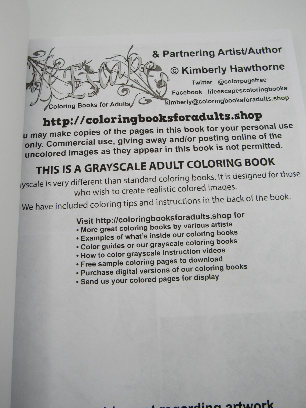 Abstract Challenge Grayscale Coloring Book For Adults: Abstract Grayscale