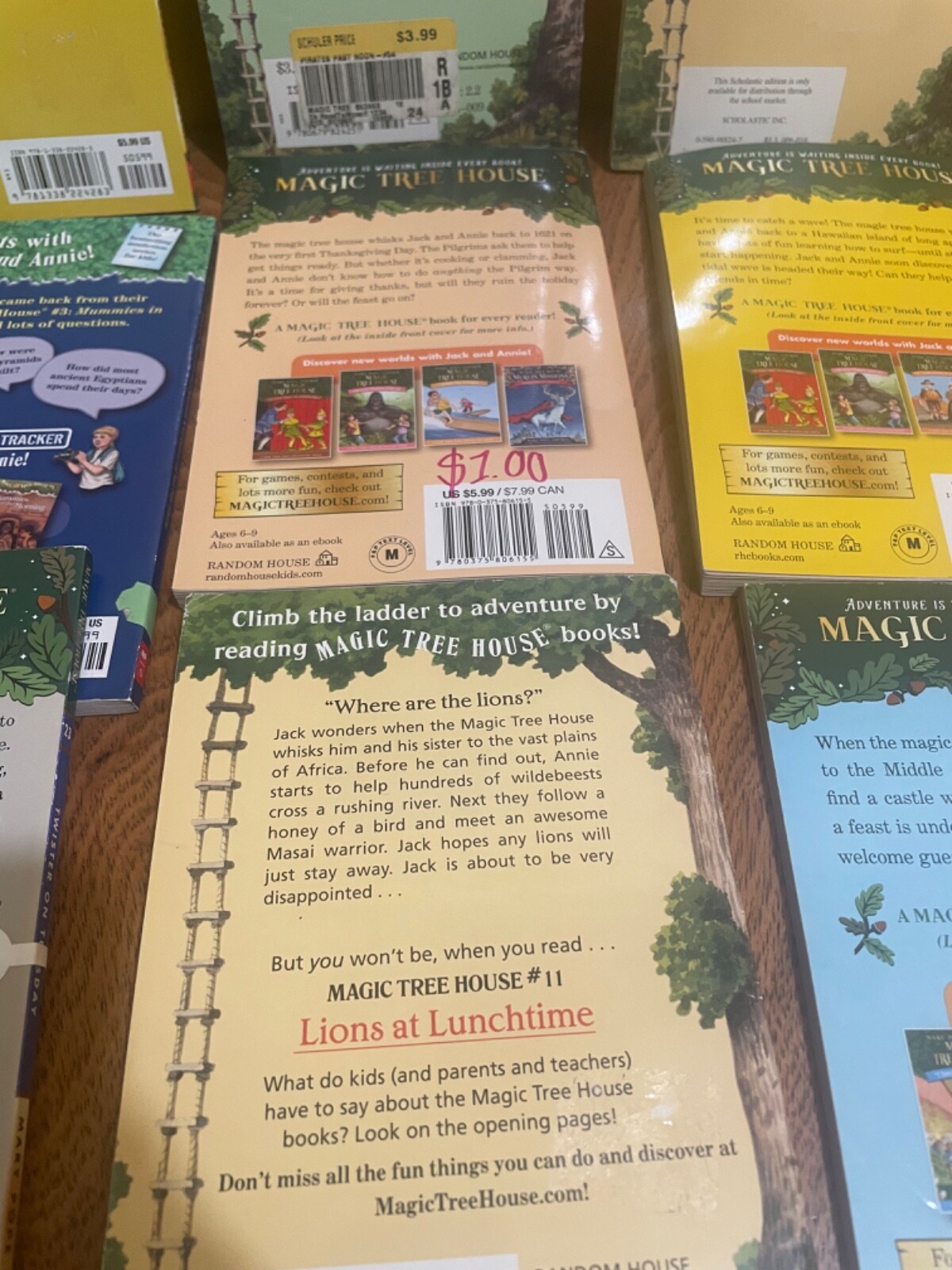 Random Lot of 12 Magic Tree House Books Mary Pope Osborne