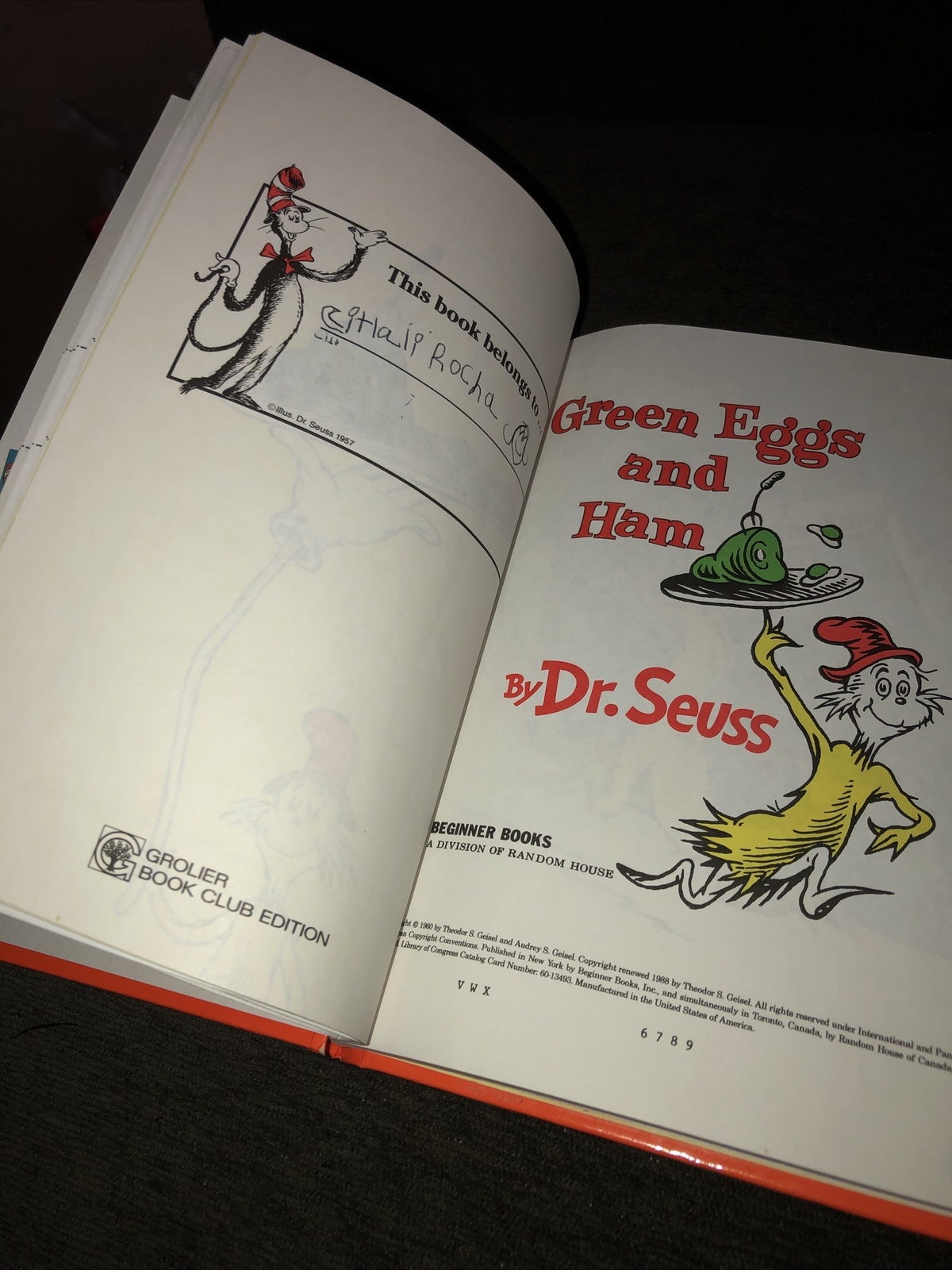 Green Eggs And Ham Book Dr. Seuss 62 Pages hard cover