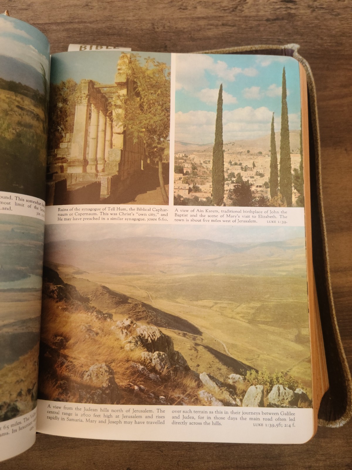 Vintage The Holy Family Catholic Bible, Oversized, 1958, Illustrated