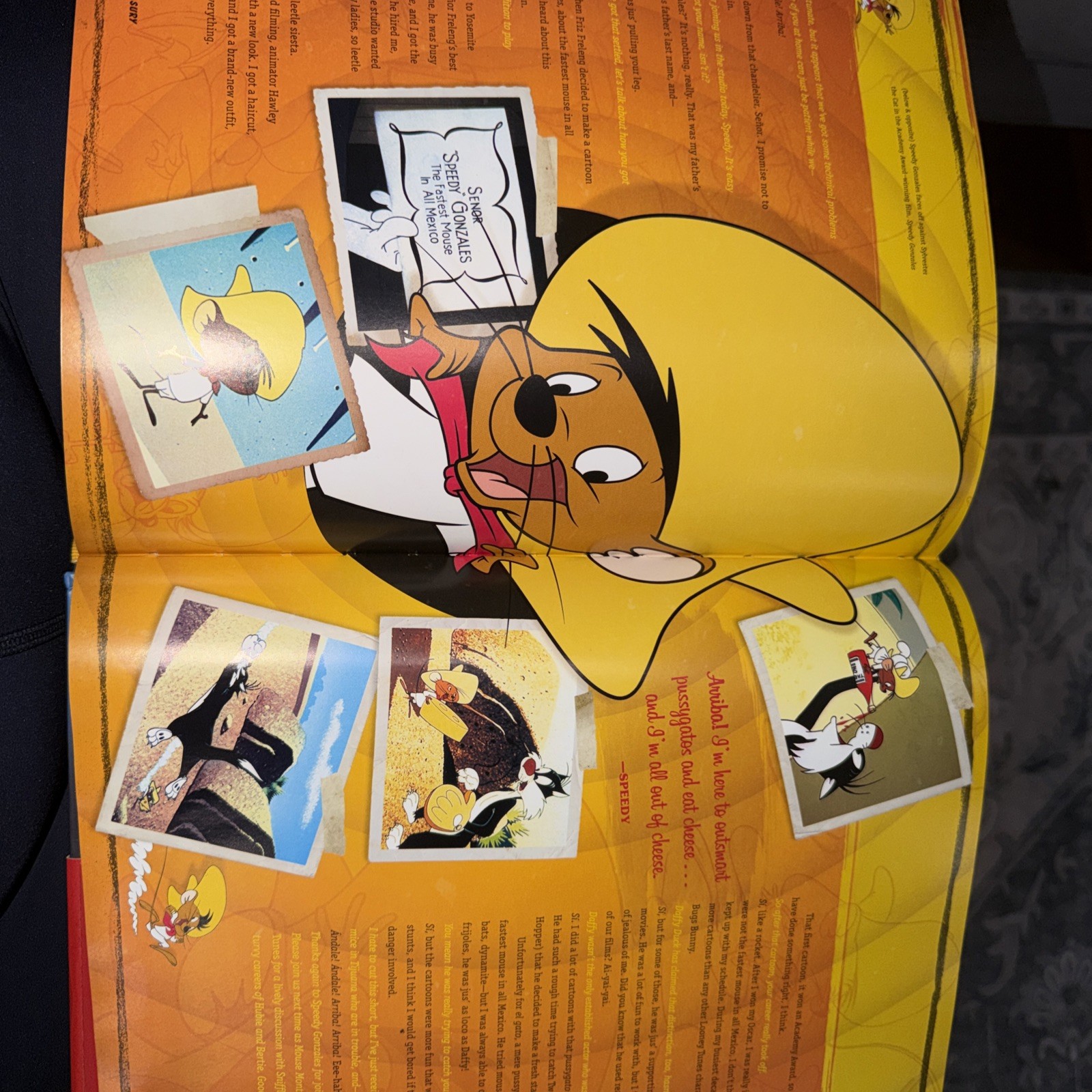 The Looney Tunes Treasury Hardcover Interactive Book Warner Bros Vault