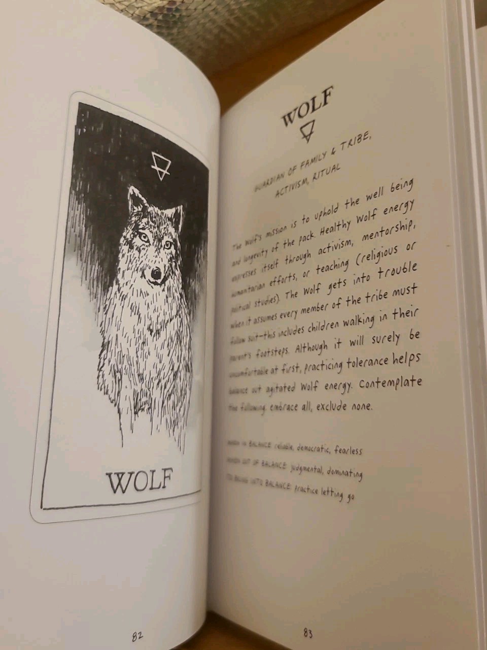 NEW The Wild Unknown Animal Spirit Deck and Guidebook – Keepsake Box Set