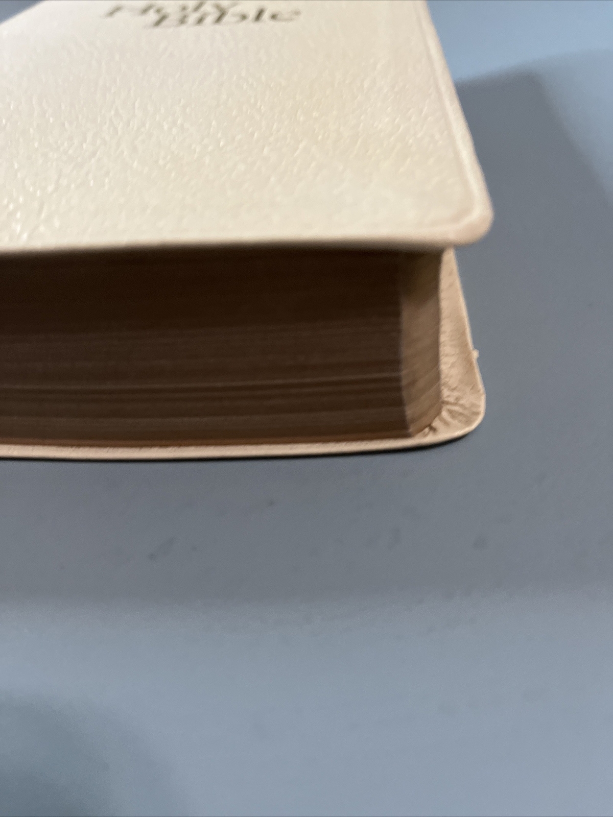 Holy Bible Study Edition The National Bible Press King James Creme Leather READ