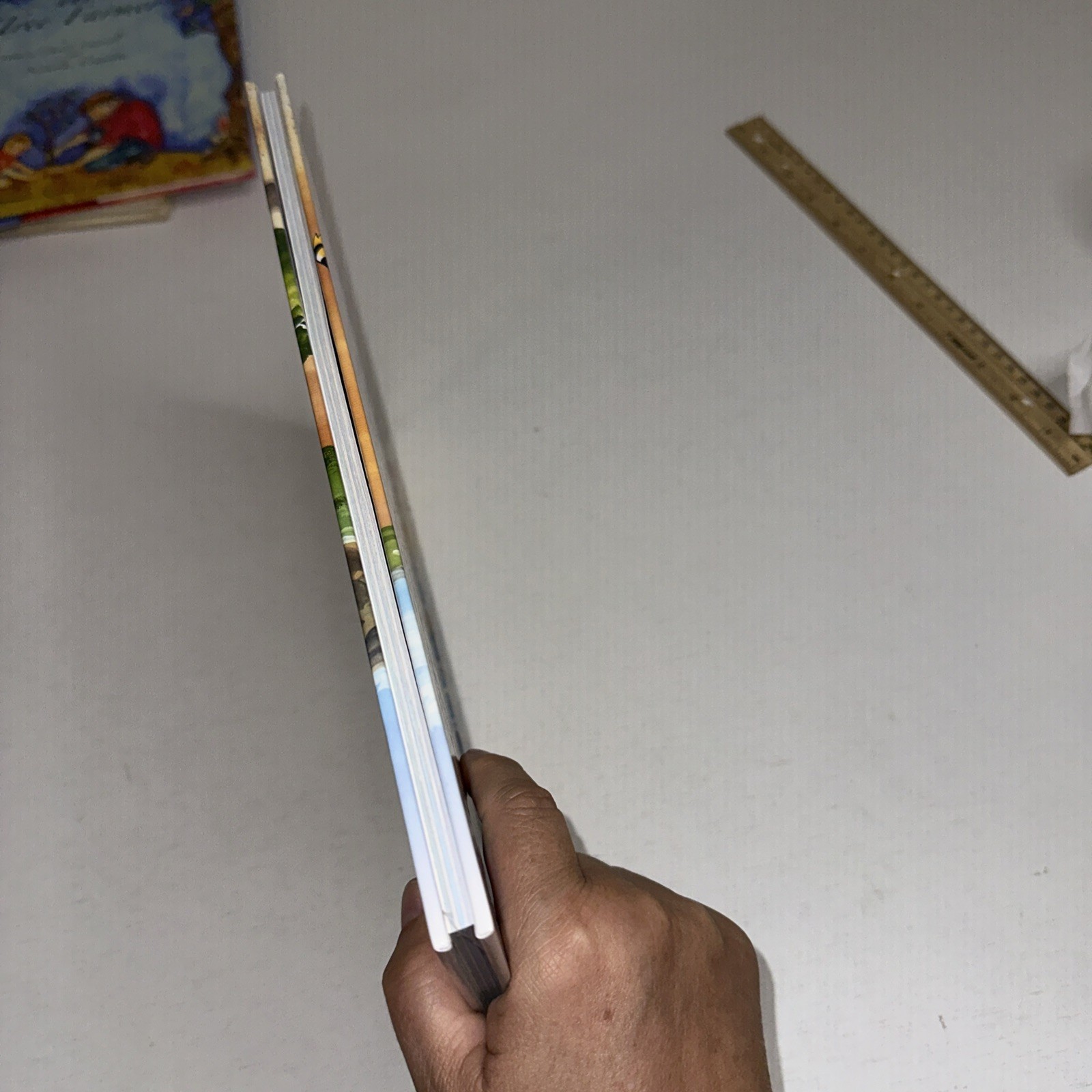 Let’s Find Pokemon! Special Complete Edition Hardcover 2020