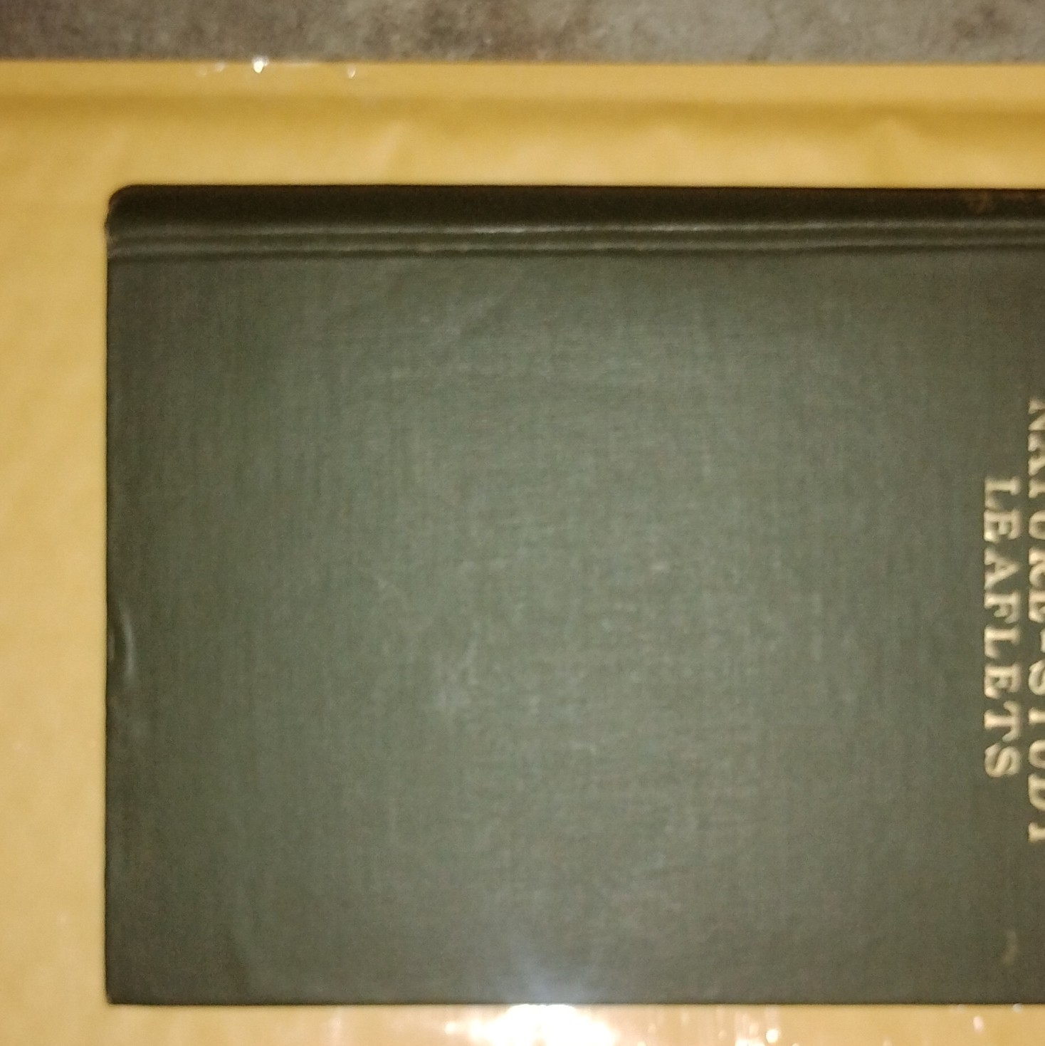 Cornell Nature-Study Leaflets Nature-Study Bulletin No. 1 1904 Illus HC