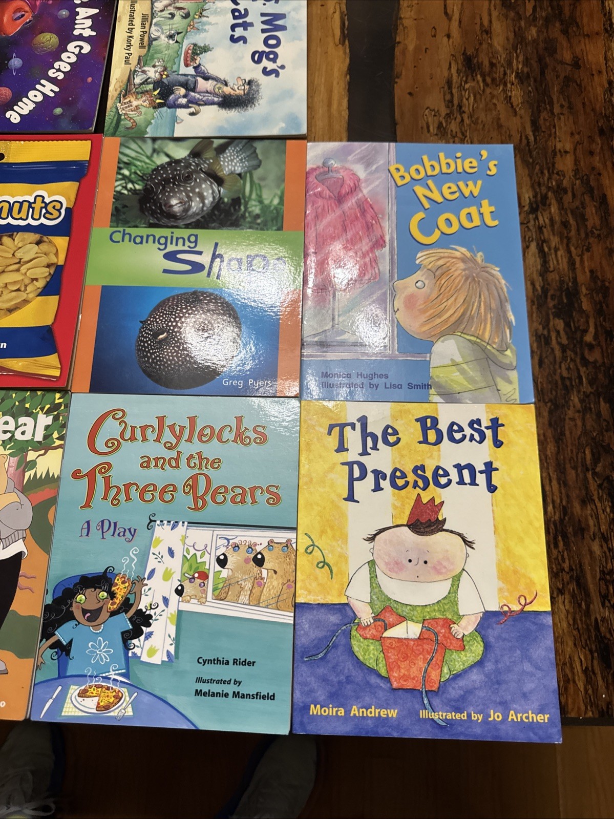 Lot of 14 Rigby Literacy Levels 8-9 Readers-Homeschool