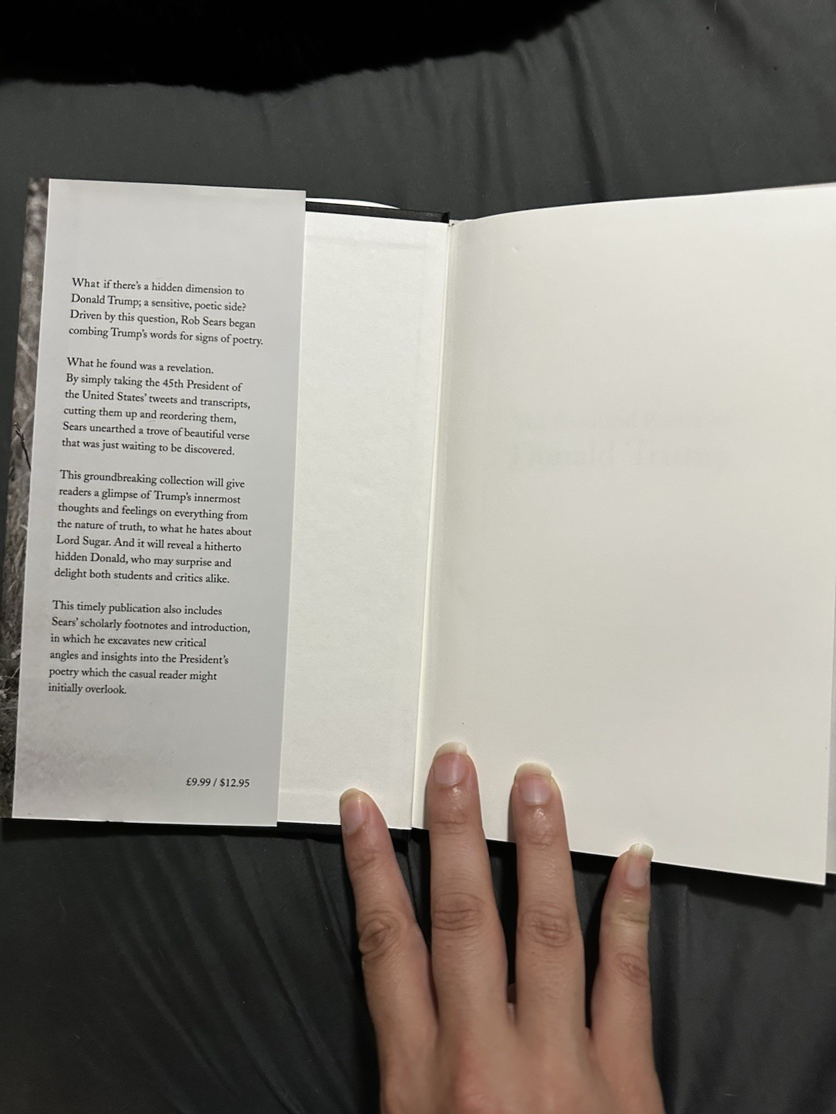 Beautiful Poetry of Donald Trump by Robert Sears (2017, Hardcover)