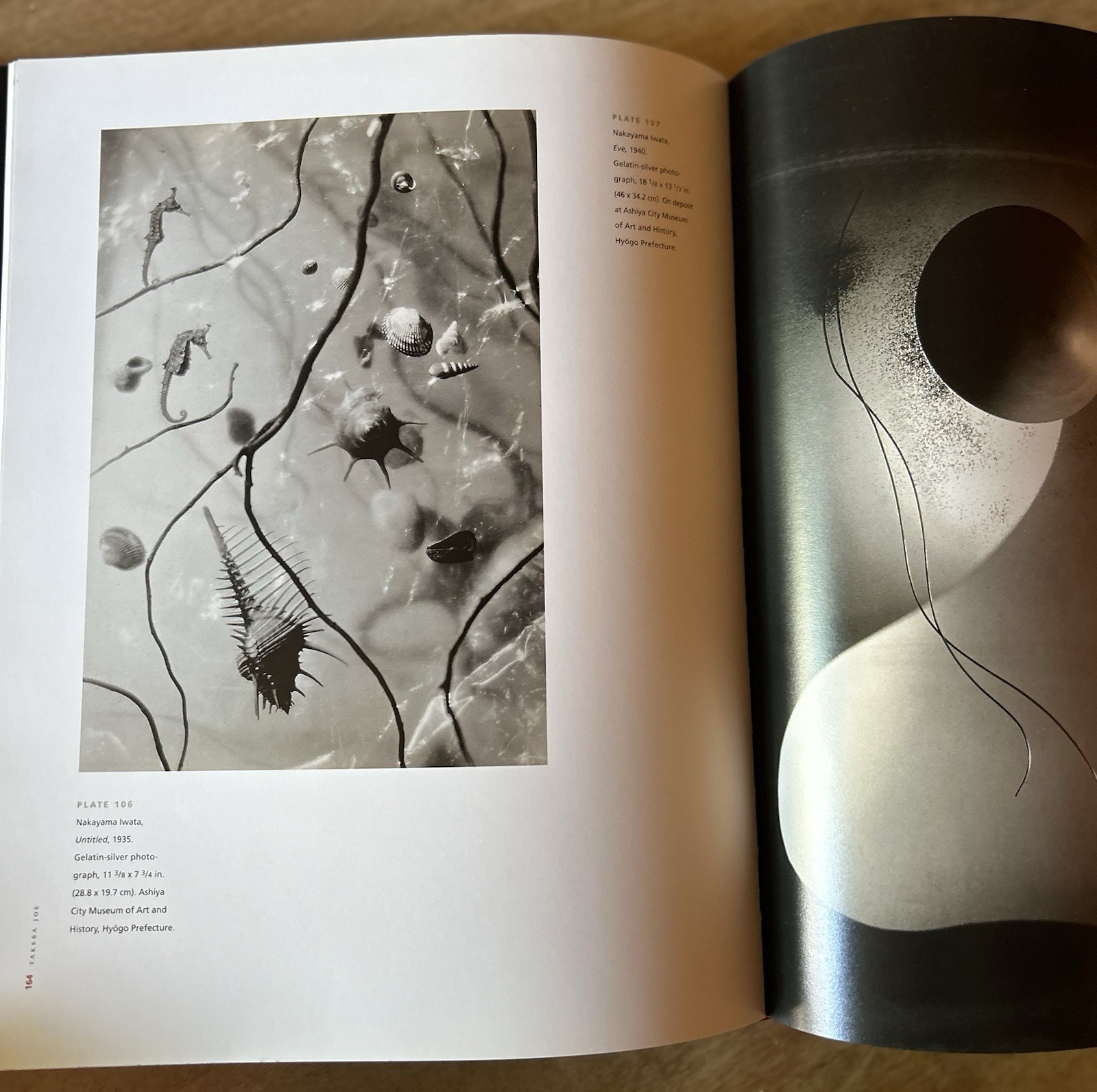 History of Japanese Photography by Dana Friis-Hansen, Kaneko Ryuichi, Anne Tucke