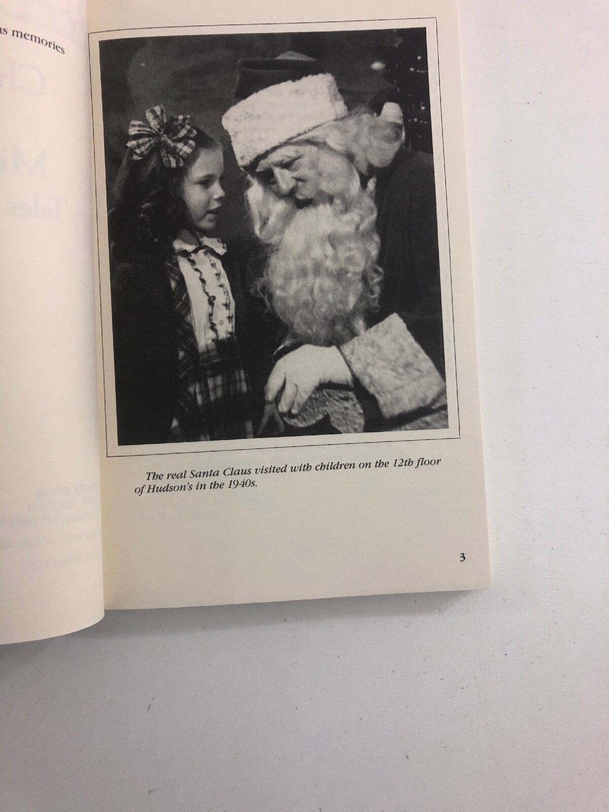 Christmas in Michigan : Tales and Recipes – Carole Eberly (1987, Paperback)