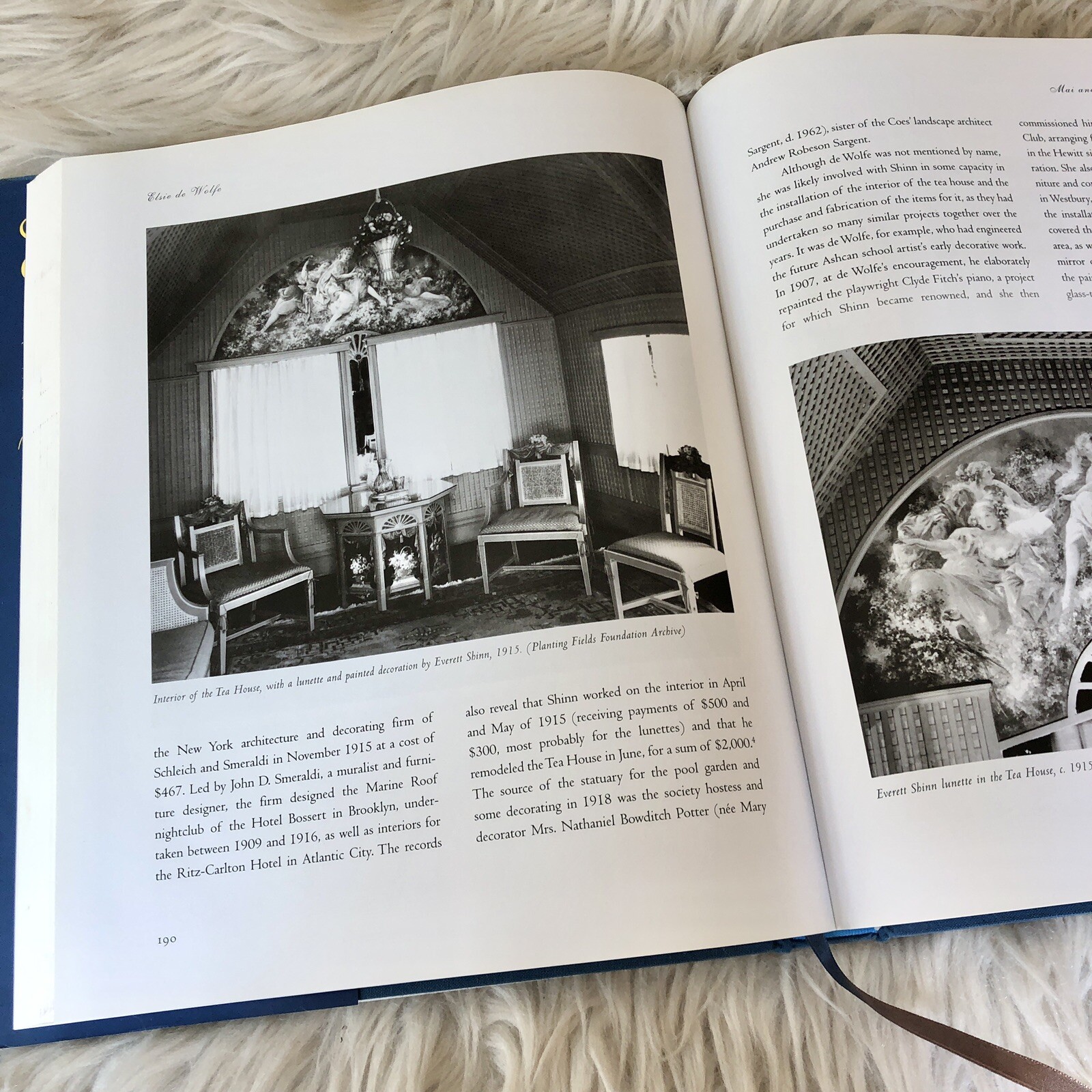 Elsie de Wolfe, the Birth of Modern Interior Design Acanthus Press Yellow Book