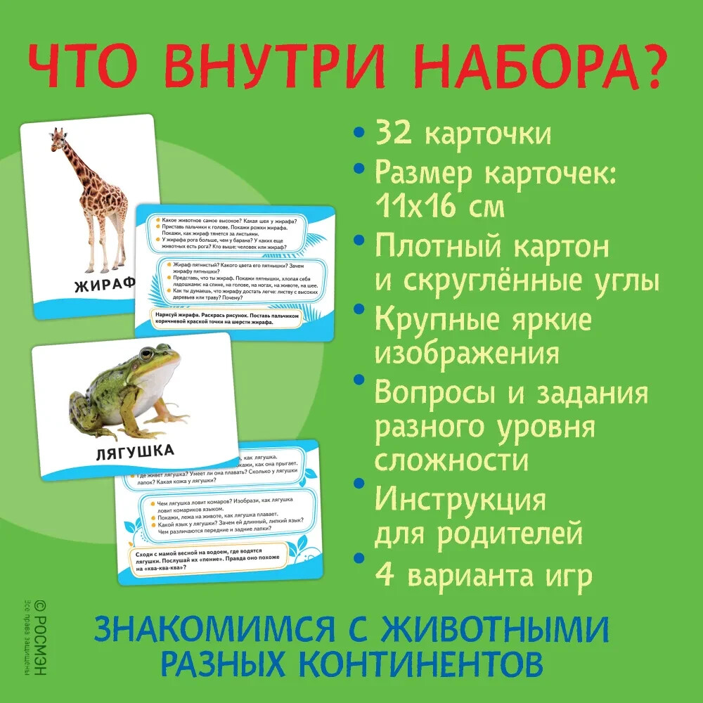 Животные. Развивающие карточки 0+ Kids Book in Russian
