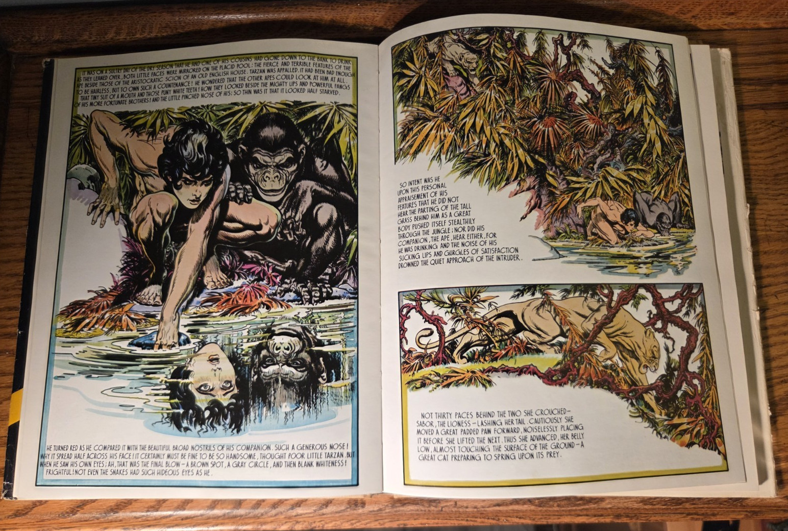 Tarzan of the Apes – Burne Hogarth – Hardcover – 1st Print 1972 Free shipping!
