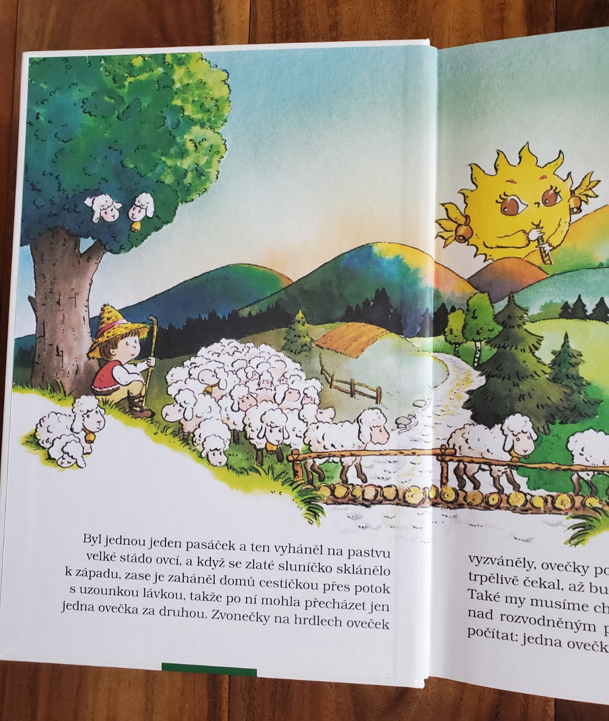 Lot 4 Kids Children’s CZECH Language BOOKS Librex FICTION HARDCOVERS
