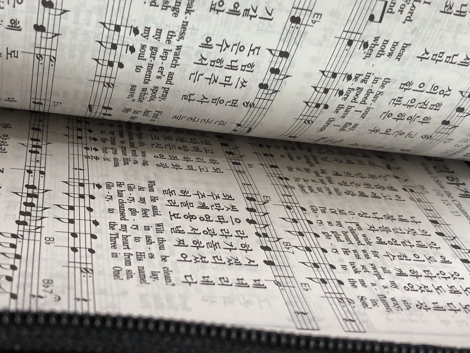 Korean-English Enriched Bible NIV Red Letter Edition Leather Zip Song Hymnal