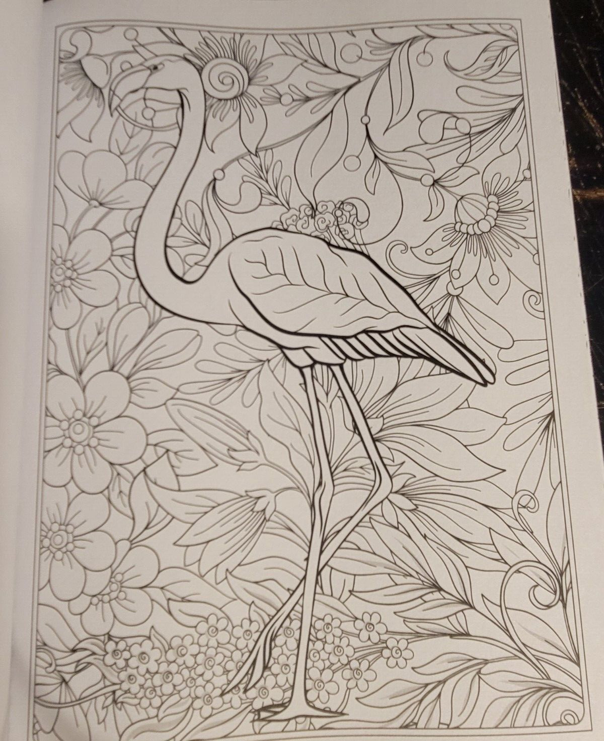 COLORS OF THE WILD Vol. 20 Adult Coloring Book With 47 Prints Ready To Frame!