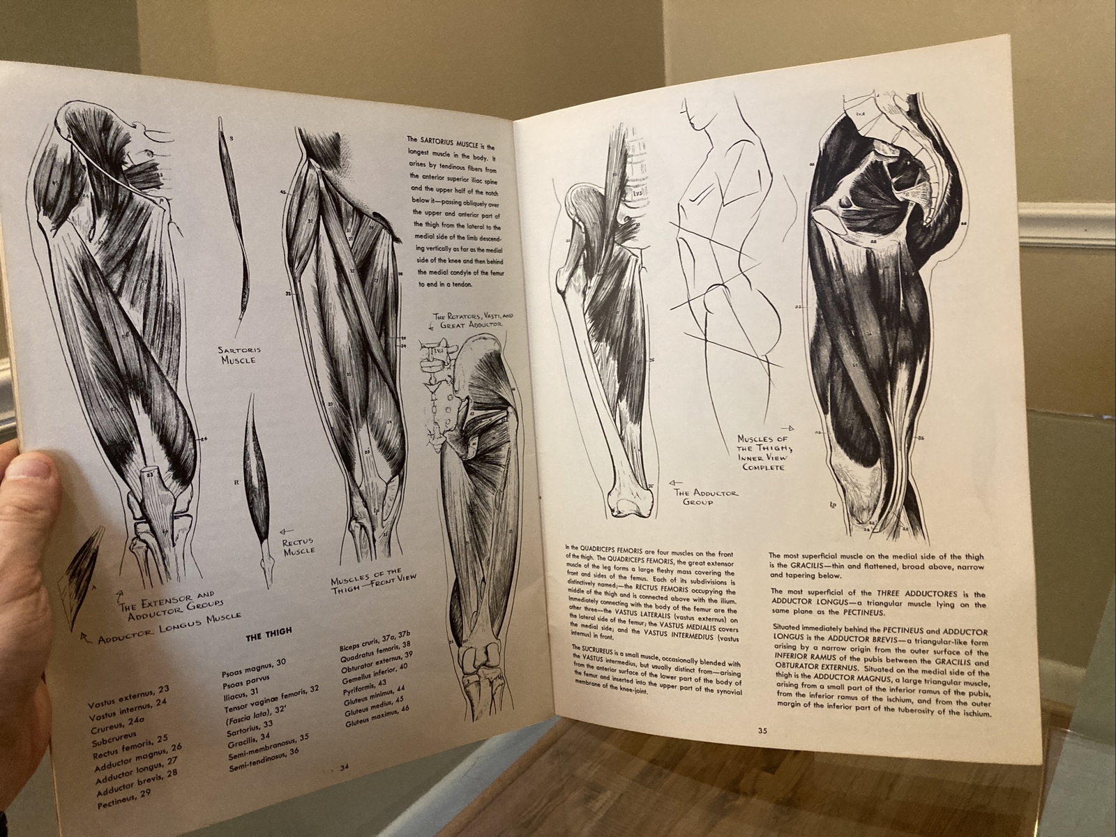 ANATOMY by Walter T Foster VINTAGE Paperback Drawing Book, Large Size QUICK SHIP