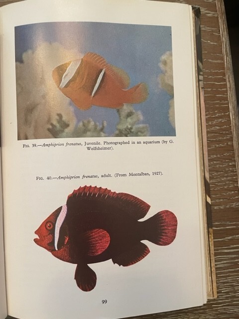 THE ANEMONEFISHES: THEIR CLASSIFICATION AND BIOLOGY By Gerald R. Allen , 1972