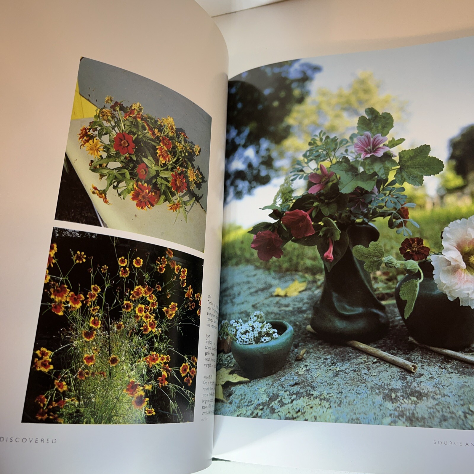 Madderlake Flowers Rediscovered 1985 First Edition Hardcover Dust Jacket NEW