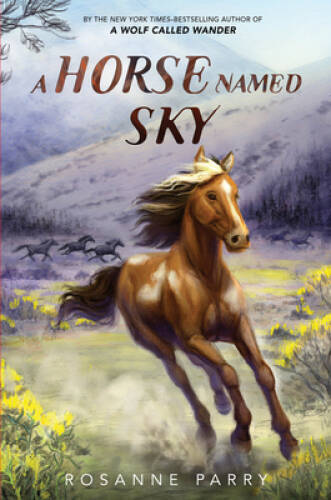 A Horse Named Sky (A Voice of the Wilderness Novel) – Hardcover – GOOD