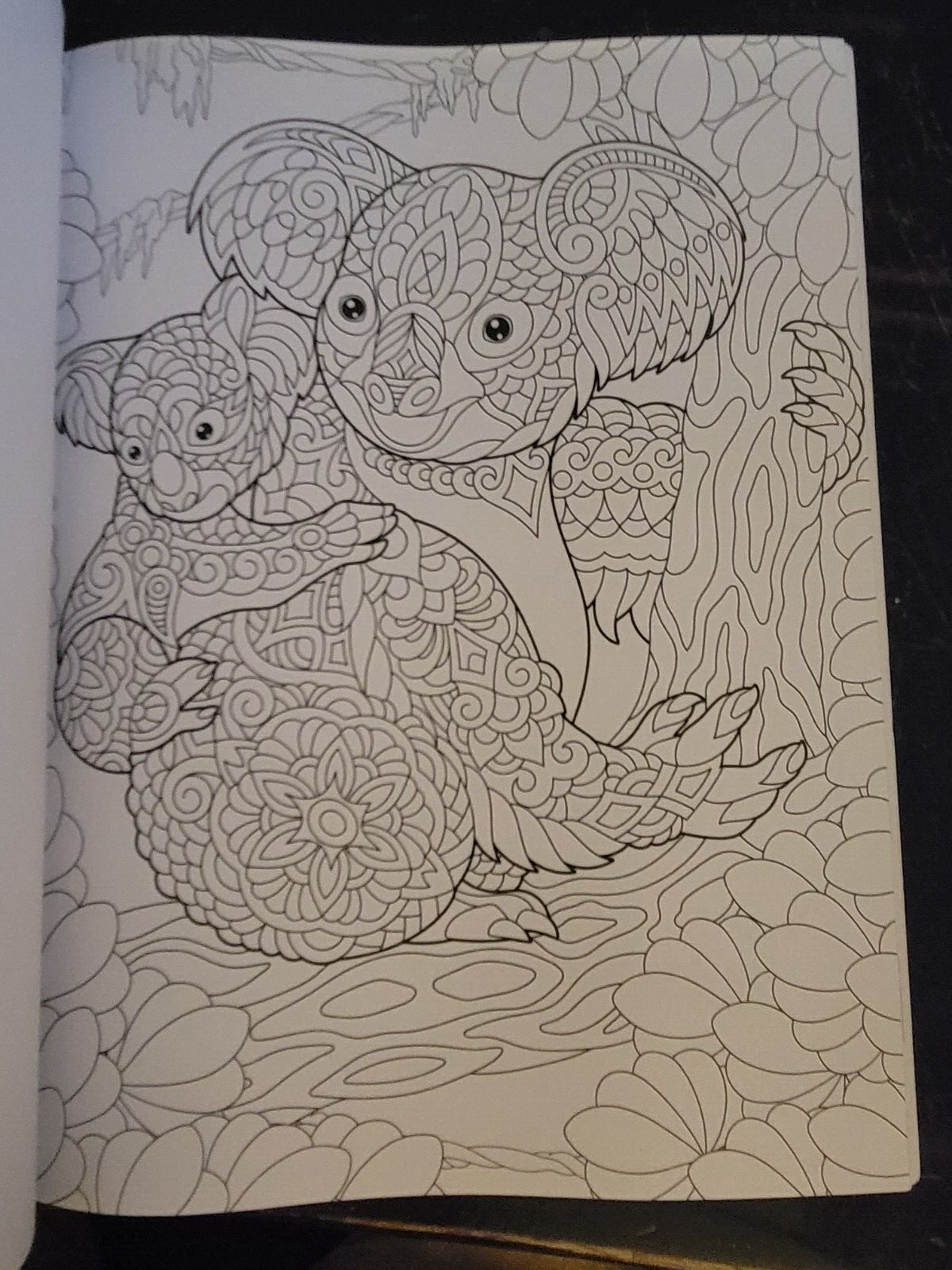 COLORS OF THE WILD Vol. 19 Adult Coloring Book With 47 Prints Ready To Frame!