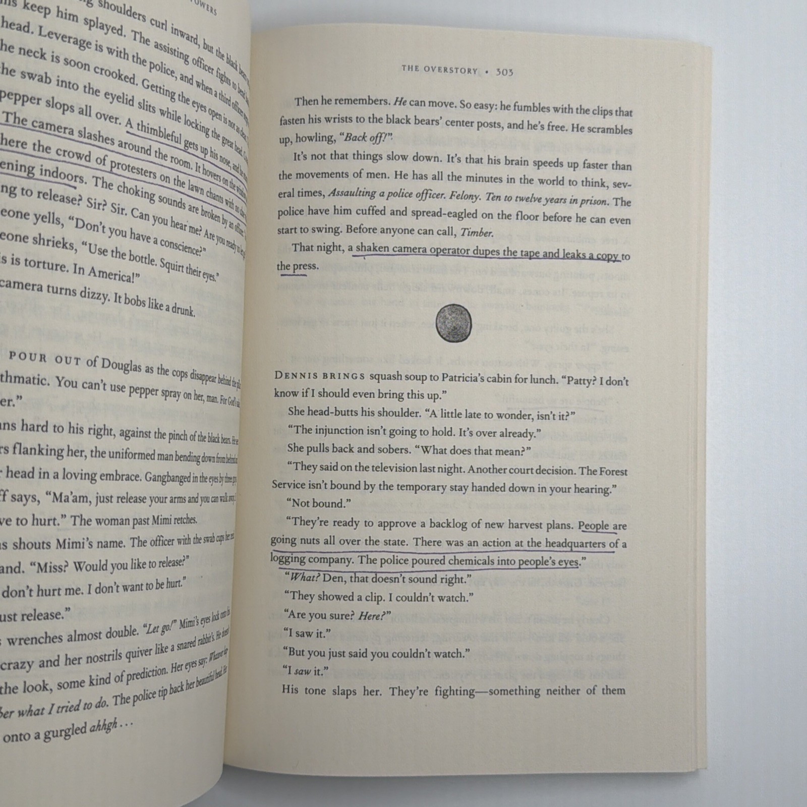 Overstory : A Novel Richard Powers 2019 Paperback Pulitzer National Book Award