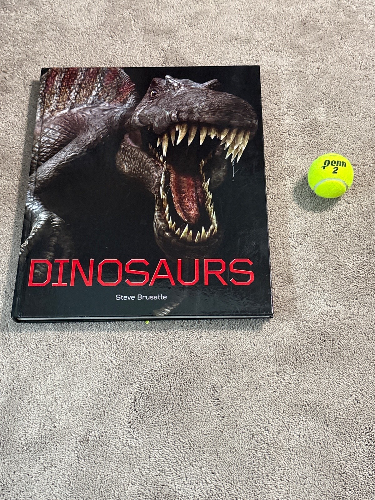 Huge Dinosaur Book written by Steve Brusatte